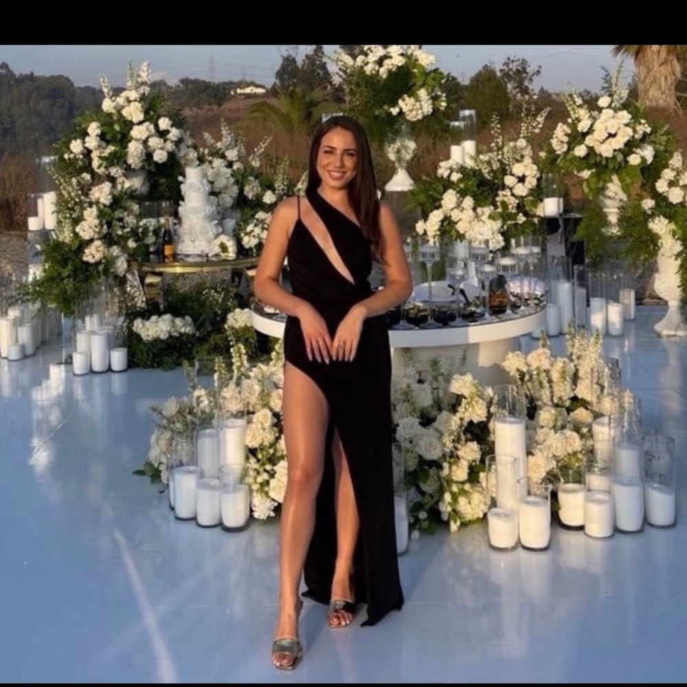 Revolve Dress
